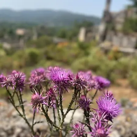 Villa Sarnic Fethiye