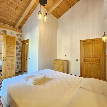 Sarnic Villa *