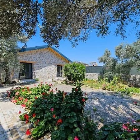 Sarnic Villa *
