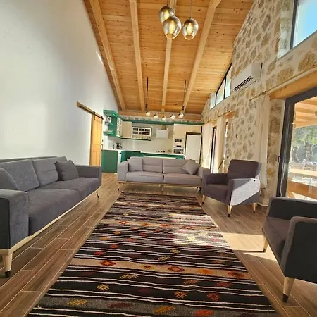 Villa Sarnic *